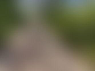 Nouveau départ pour Sinnaë