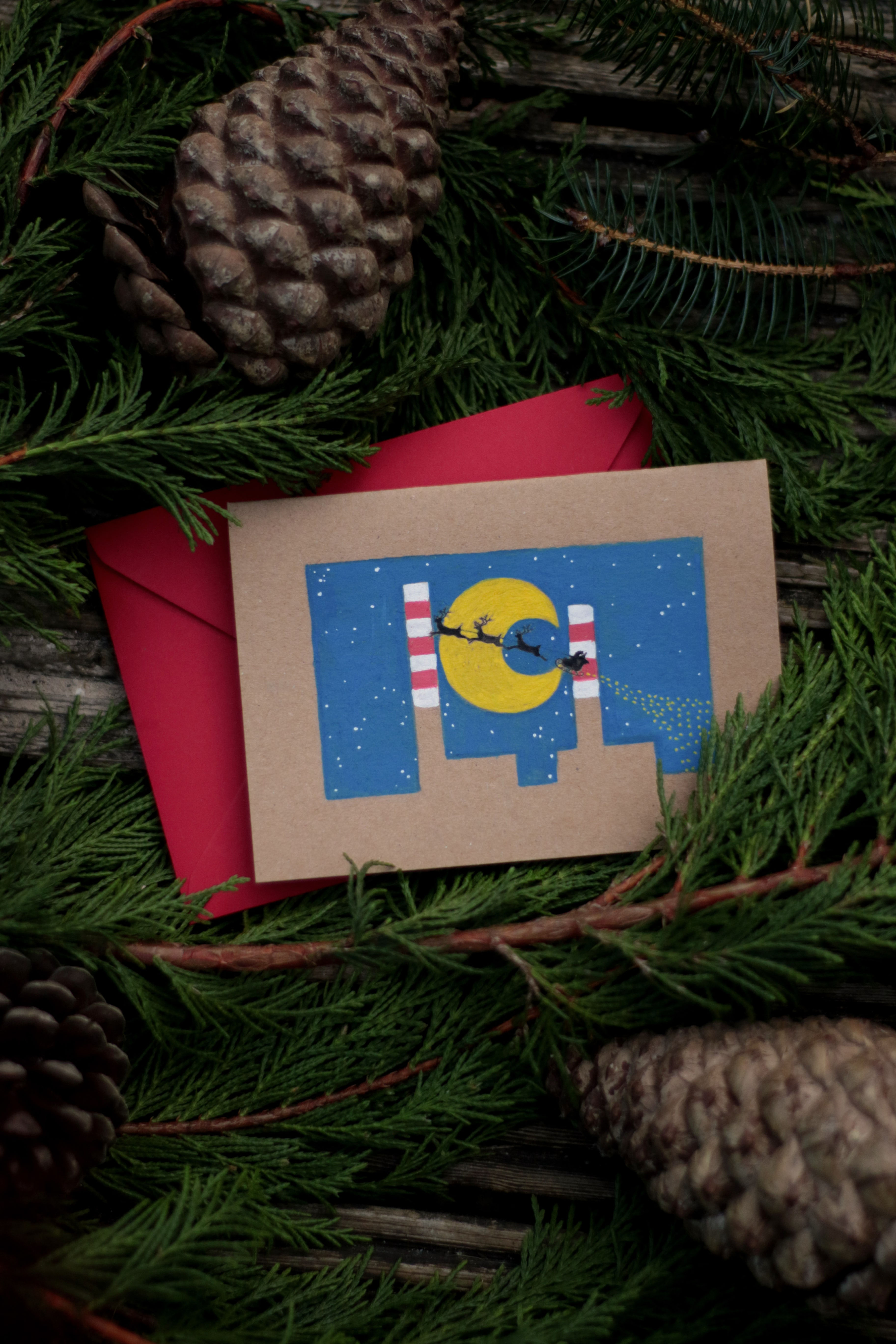 Reusable Recycled Eco Christmas Card