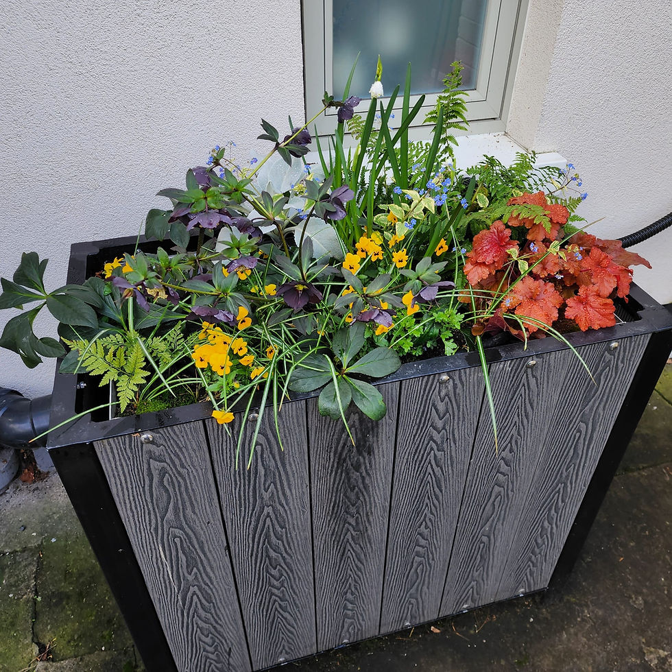 662918818_10225424574921555_5695977171063471737_n