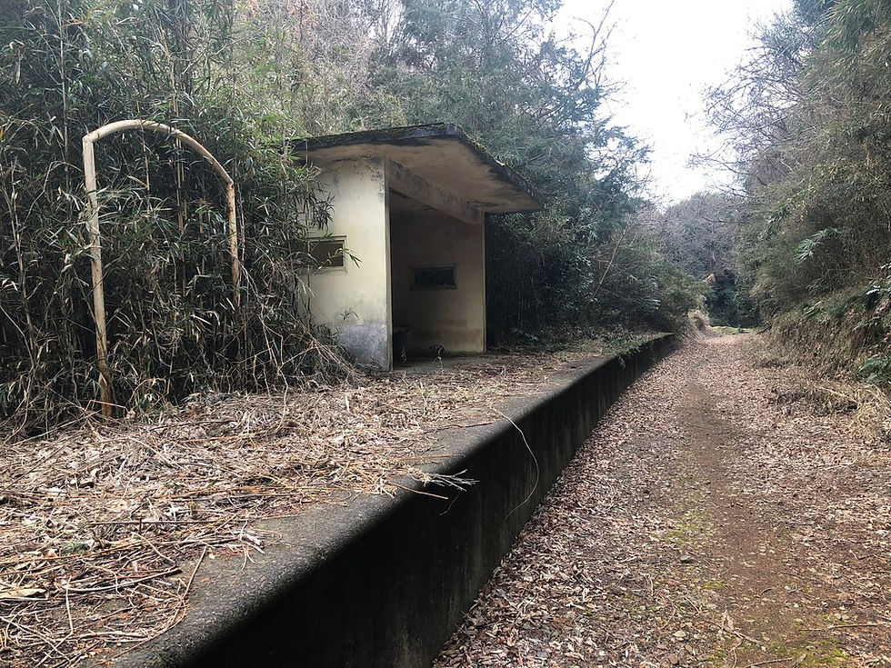 Abandoned railways