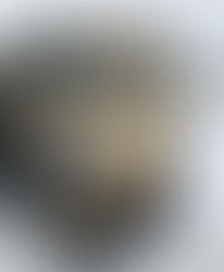 Diesel train in the snow