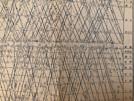 Diagrammatic Time Table