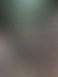 Being reclaimed by nature