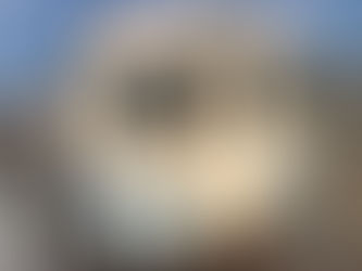 Beautiful rust streaks on an old train