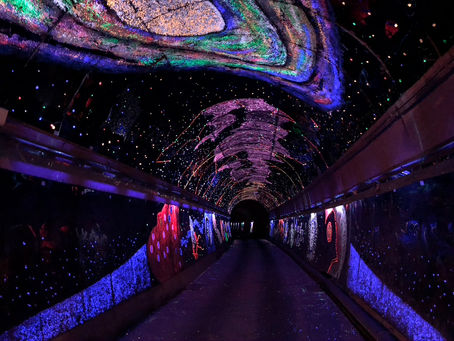 Interesting old railway tunnel