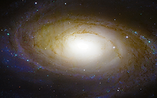In Saturns Rings Donors