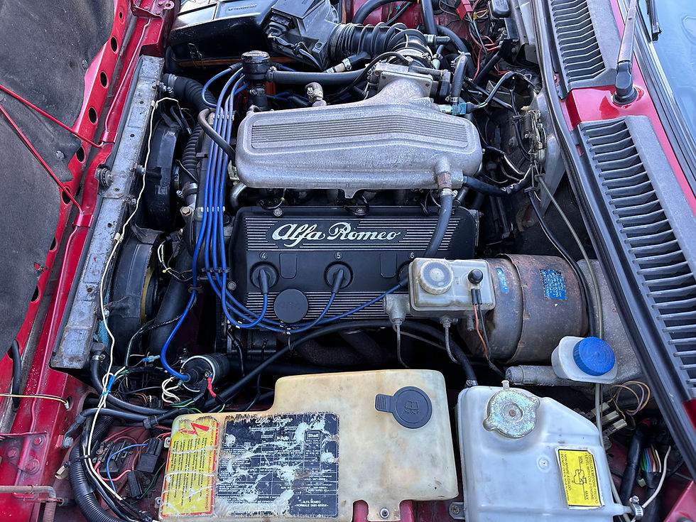 Thumbnail: 1984 Alfa Romeo GTV6