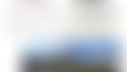 Sanatorium Hoffmann Park in Gefahr