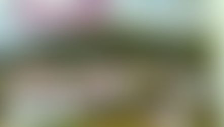 Unsere Ideen zum neuen Bebauungsplan und Raumordnungskonzept