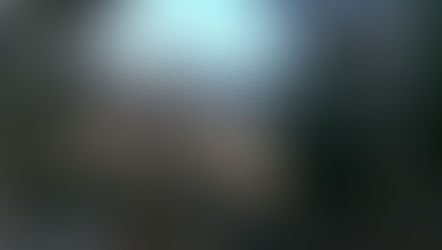 Positive Rückmeldung zur Villa Zuckerkandl