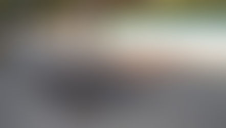 Positives & Schirches