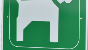 Endlich eine Hundezone!