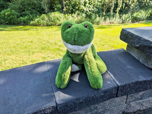 Unleash Your Imagination with the Lily Frog 16'' Stuffed Animal - The Perfect Companion for Adventure