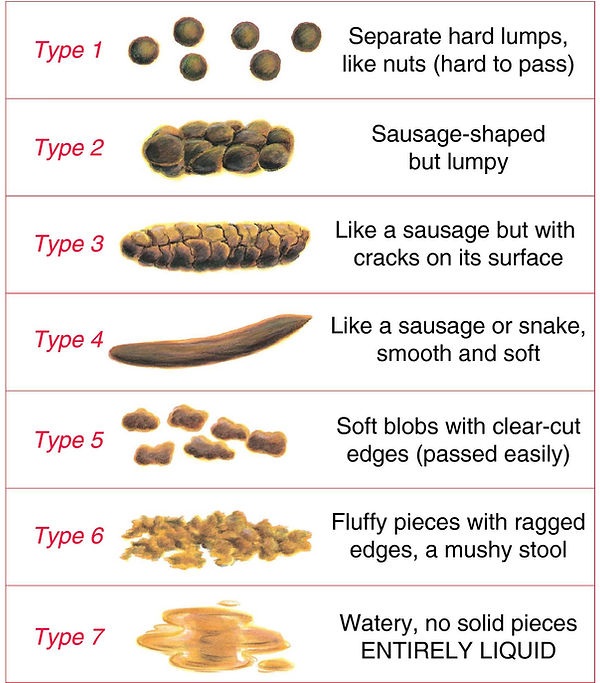 bristol stool chart