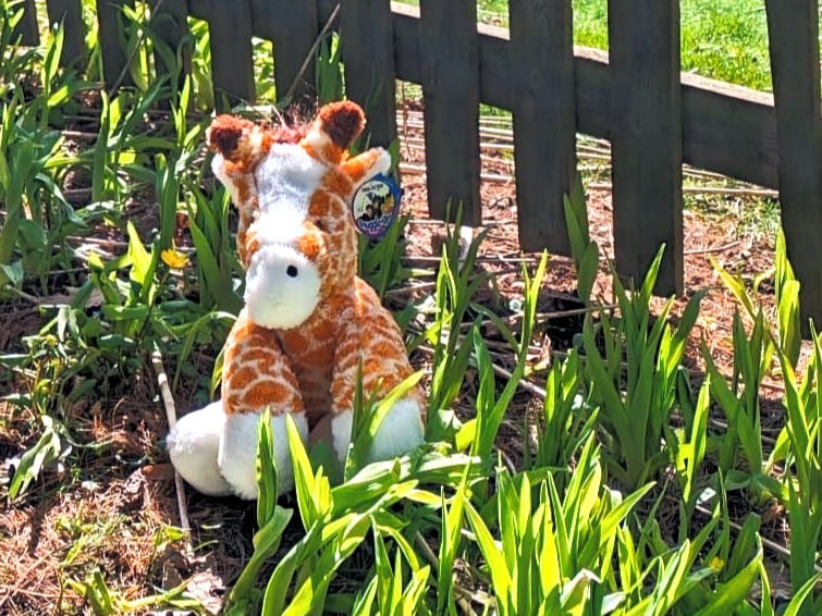 giraffe stuffed animal