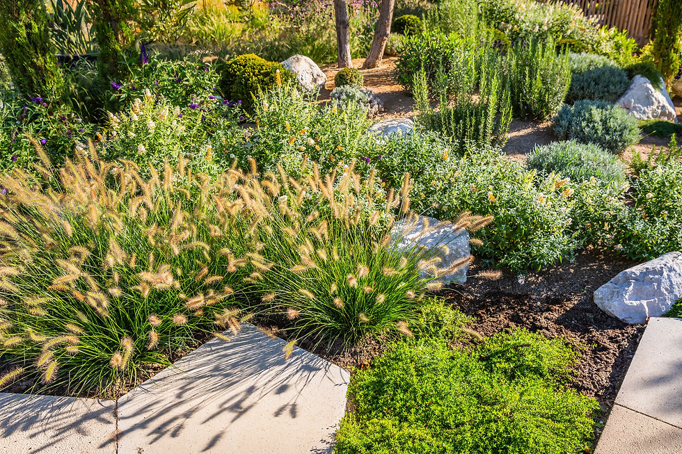 Backyard with fantastic landscaping, patio, drought resistant plants.jpg