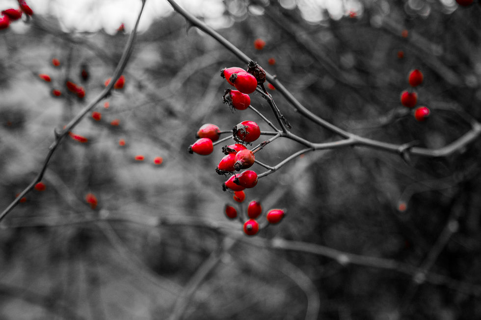 The Colours collection