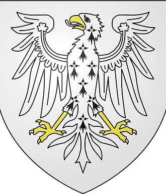 FalconCoatofArms.webp