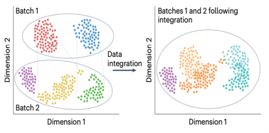img-thumb-spatial-transcriptomics-015.png