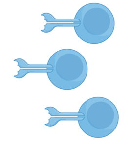 img-thumb-spatial-transcriptomics-021.png