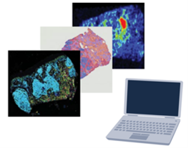 img-thumb-spatial-transcriptomics-014.png