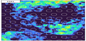 img-thumb-spatial-transcriptomics-012.png