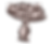 Edgewater.Site.Images-15.png