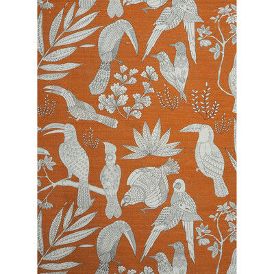 SILK BIRD / ARANCIA