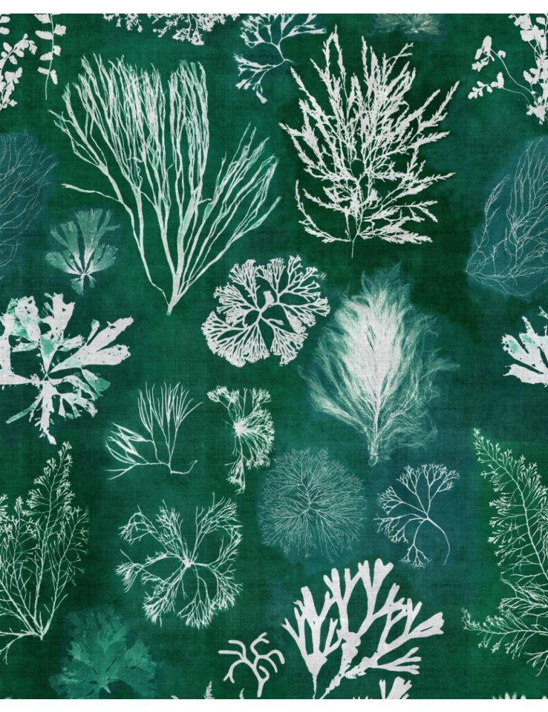 ALGAE Moss Wallpaper