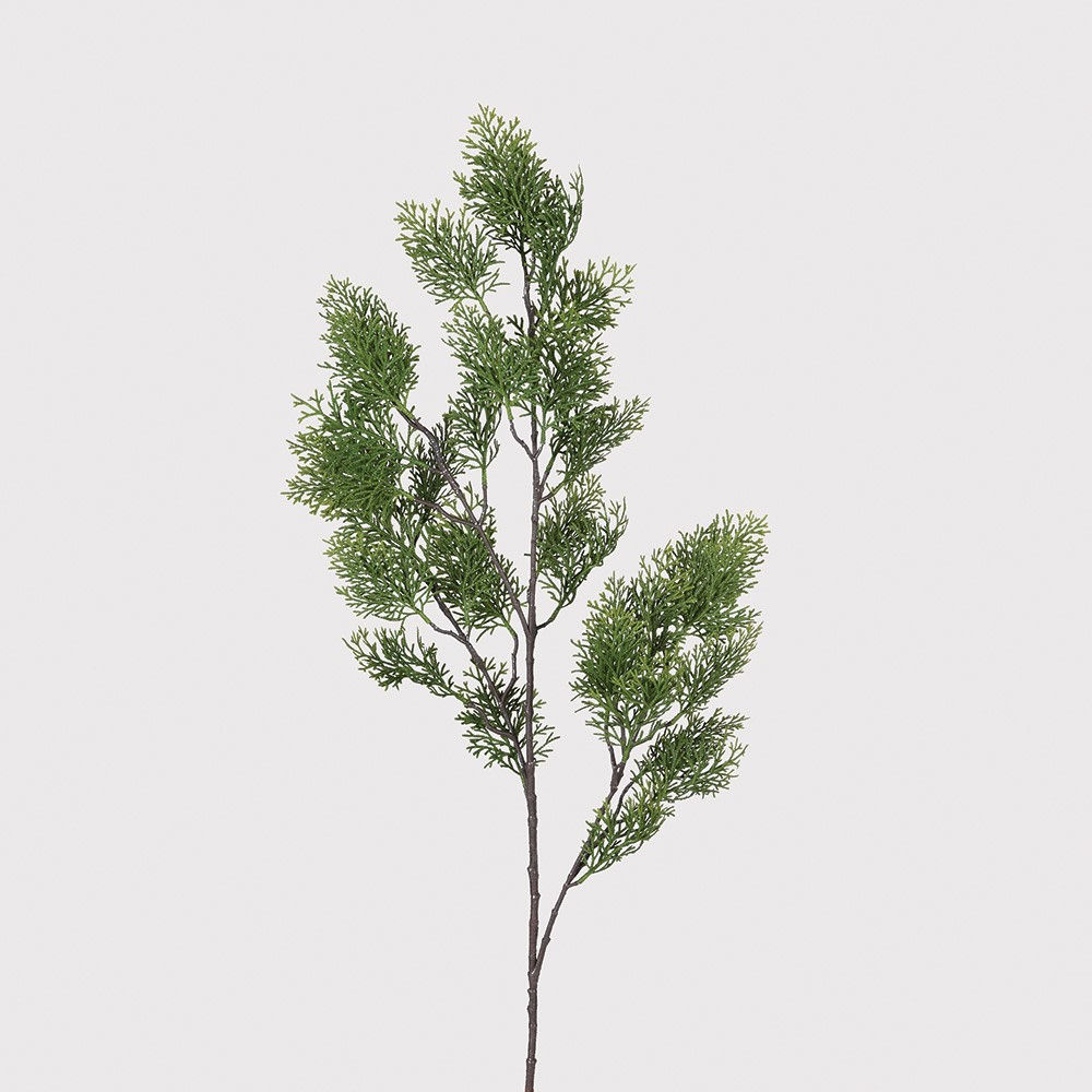 Green Cypress Spray