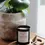 Thumbnail: GREEN TEA | Soy Wax Candle Large