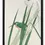 Thumbnail: KINGFISHER AND IRIS (C.1900) A3 print