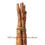 Thumbnail: Wild Yam Root (Dioscorea villosa)