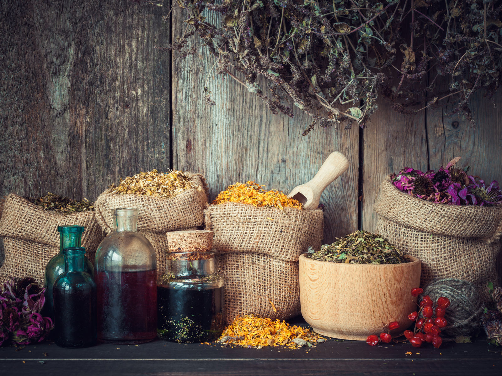 Lavender & Honey photo 6