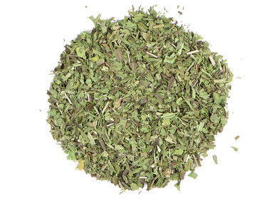 Thumbnail: Plantain (Plantago major)