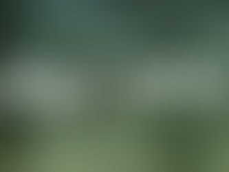 WEIGHTLIFTING - Sa 22.05.21