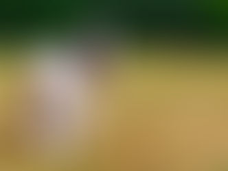 Real Talk From The Farm