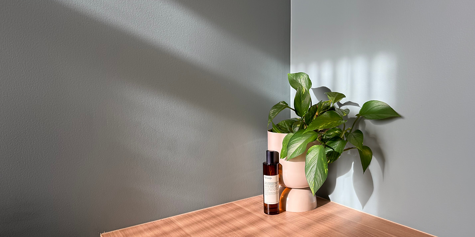 a place to slow down a place to connect a place to feel (2).png