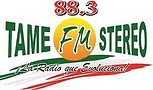 logo Tame stereo.jpg
