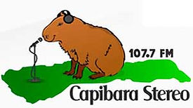 capibara-stereo.jpg