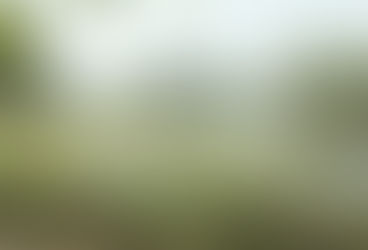 Chitwan National Park