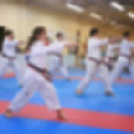 Tae Kwon Do Class