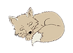 renard de the safe place