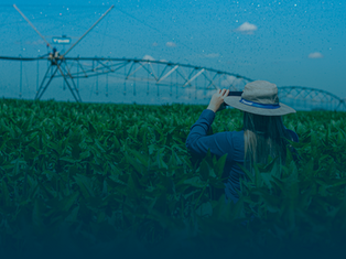 Rebranding Land Irrigação