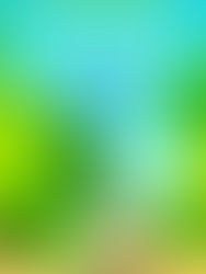 New Release: Arthur and Grandma's Walk