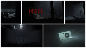 Collecting My Thought on Inside—A Perfect Economy of Mechanics