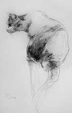 Intuitive Drawing.png