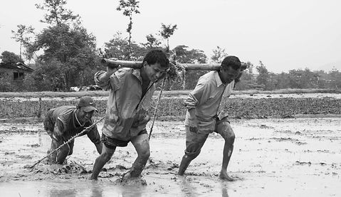 human-efforts-92262_1920_edited.jpg