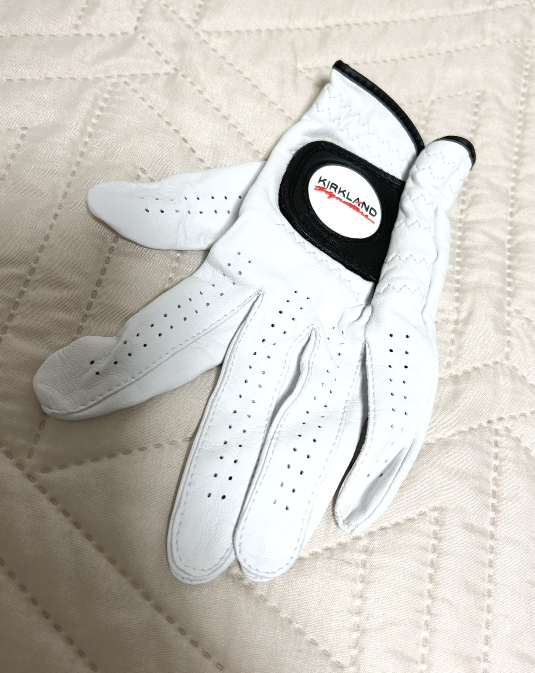 Left hand golf glove (Used)