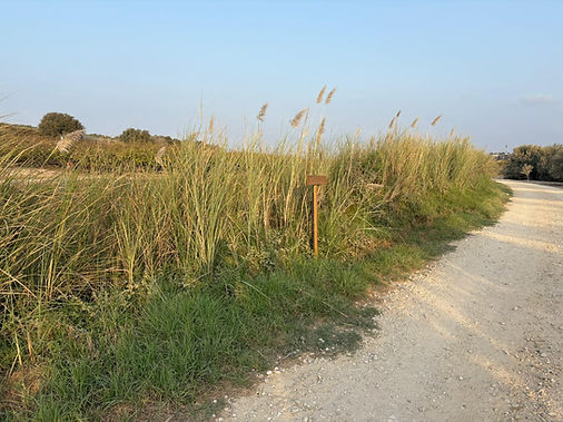 WhatsApp Image 2026-01-01 at 10.56.52 (1).jpeg